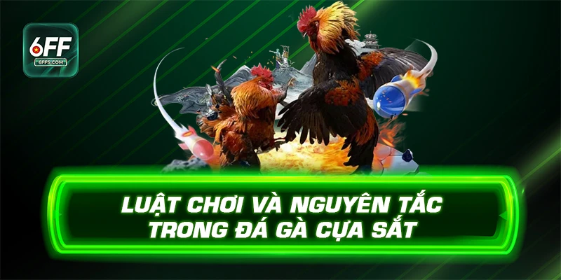 Luật chơi và nguyên tắc trong đá gà cựa sắt