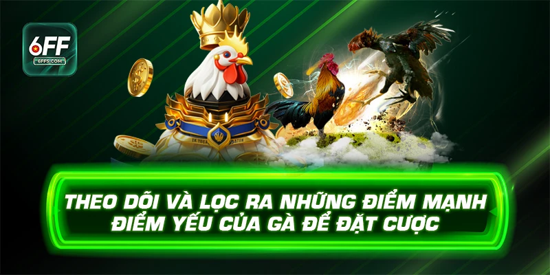 Theo dõi và lọc ra những điểm mạnh điểm yếu của gà để đặt cược