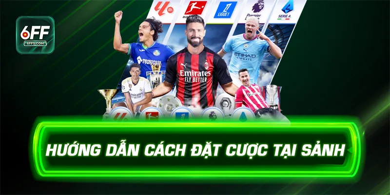 Hướng dẫn cách đặt cược tại sảnh
