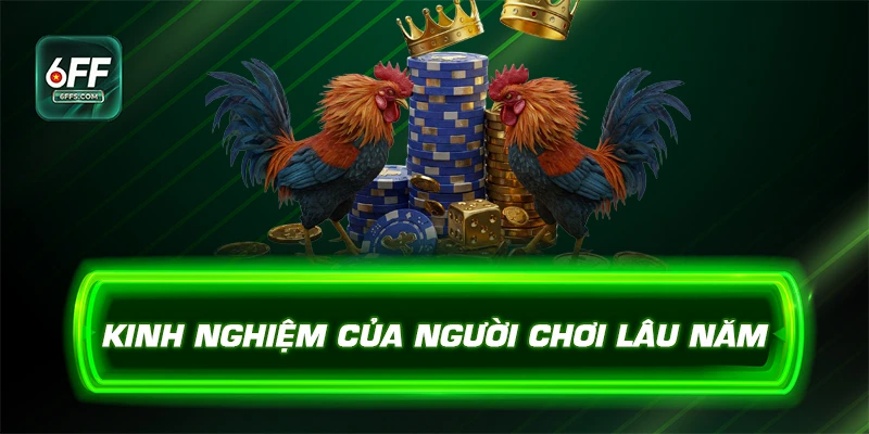 Kinh nghiệm của người chơi lâu năm 