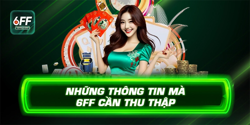 Những thông tin mà 6FF cần thu thập 