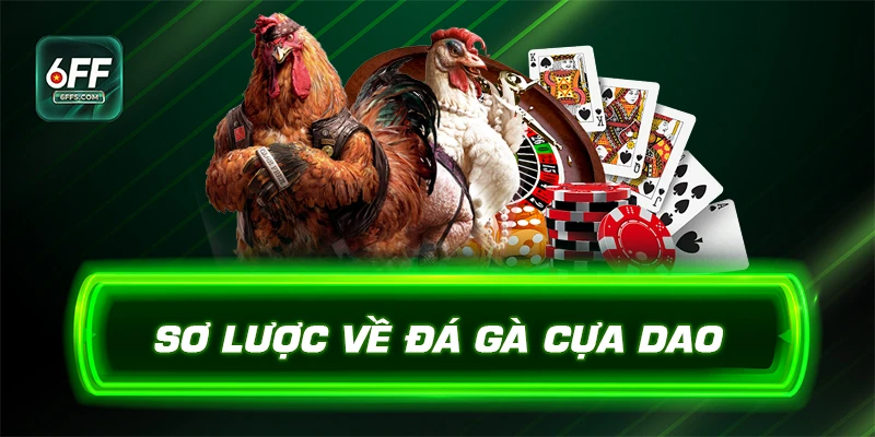 Sơ lược về đá gà cựa dao 6FF