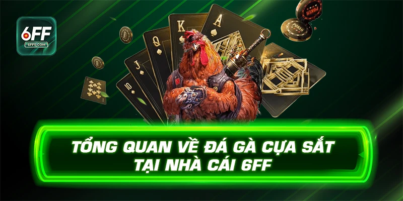 Tổng quan sơ lược về sảnh cược