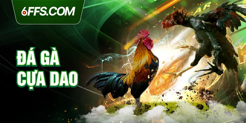 Đá gà cựa dao 6FF